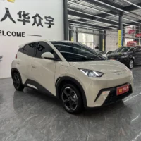 BYD Seagull Free Edition 55kw