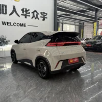 BYD Seagull Free Edition 55kw