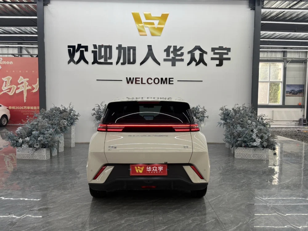 BYD Seagull Free Edition 55kw
