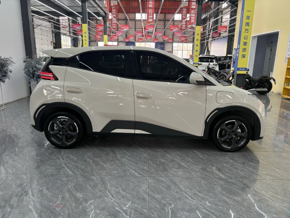 BYD Seagull Free Edition 55kw