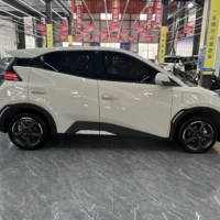 BYD Seagull Free Edition 55kw