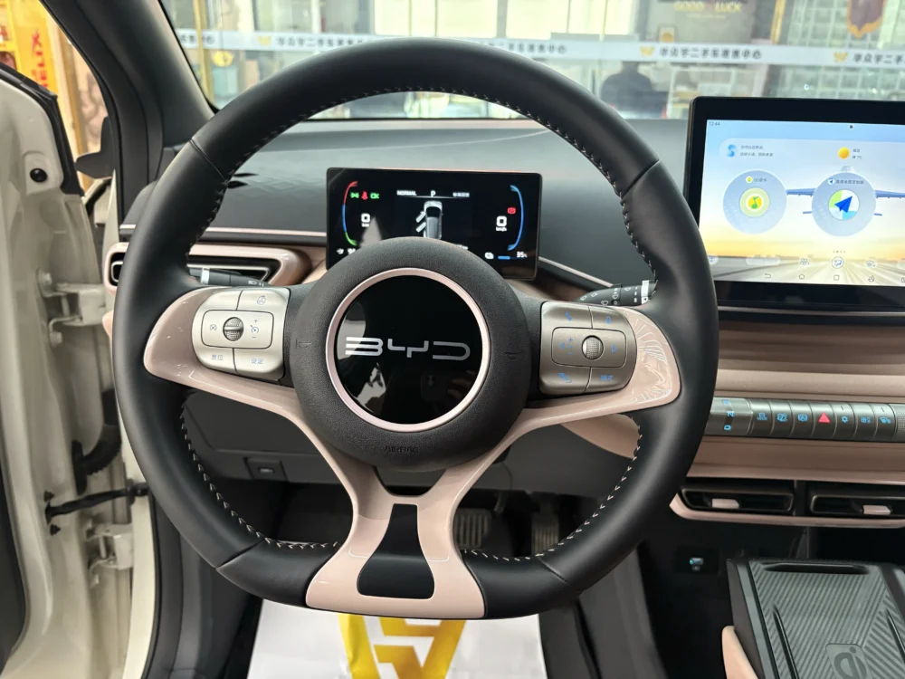 BYD Seagull Free Edition 55kw