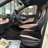 BYD Seagull Free Edition 55kw