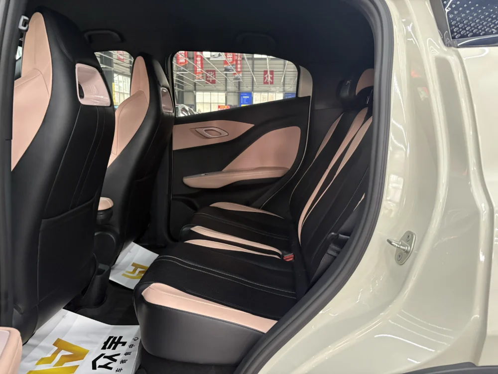 BYD Seagull Free Edition 55kw