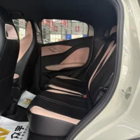 BYD Seagull Free Edition 55kw