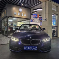 BMW 2 Series (Imported) 2018 220i Convertible Coupe Sports Design Package