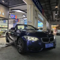 BMW 2 Series (Imported) 2018 220i Convertible Coupe Sports Design Package