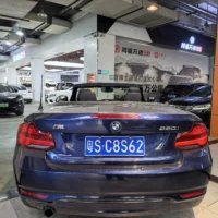 BMW 2 Series (Imported) 2018 220i Convertible Coupe Sports Design Package
