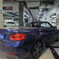 BMW 2 Series (Imported) 2018 220i Convertible Coupe Sports Design Package
