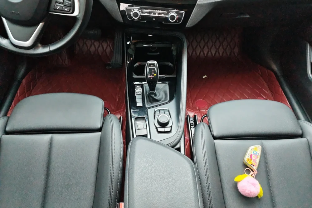 BMW X2 sDrive20i M off-road package
