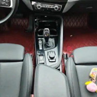 BMW X2 sDrive20i M off-road package
