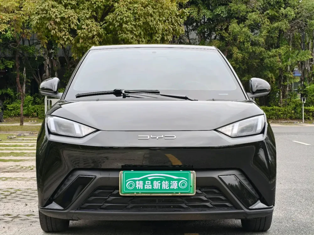 BYD Seagull Free Edition 55kw