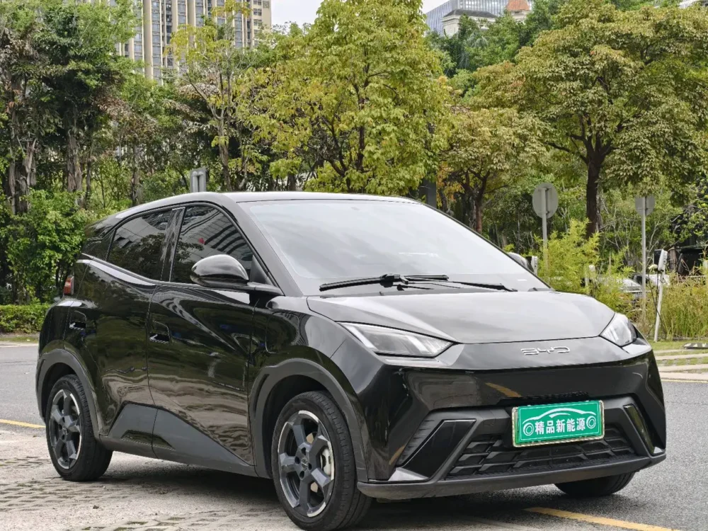 BYD Seagull Free Edition 55kw