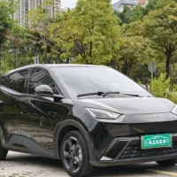 BYD Seagull Free Edition 55kw
