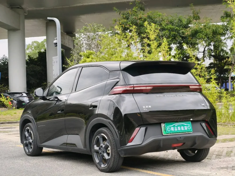 BYD Seagull Free Edition 55kw