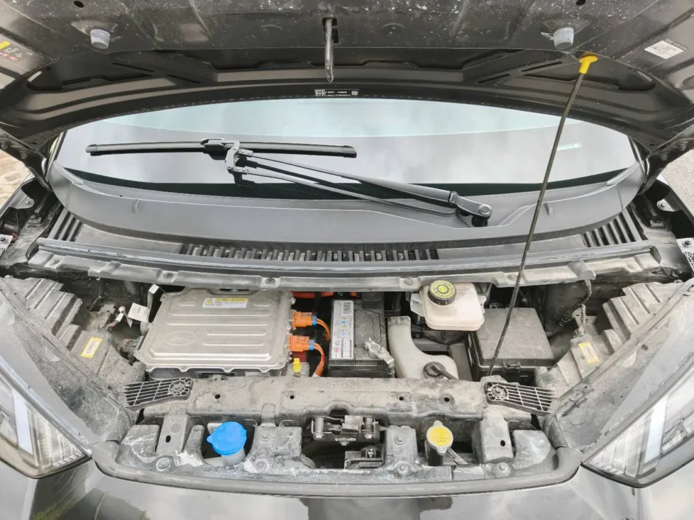 BYD Seagull Free Edition 55kw