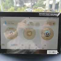 BYD Seagull Free Edition 55kw