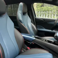 BYD Dolphin Fashion Edition
