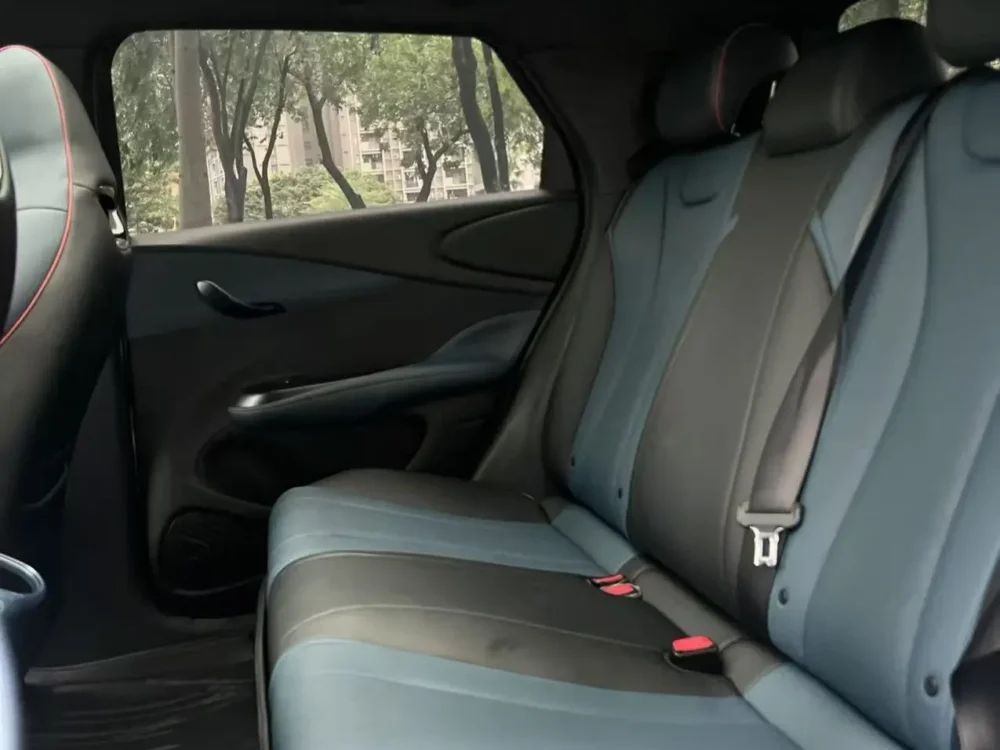 BYD Dolphin Fashion Edition