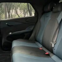 BYD Dolphin Fashion Edition