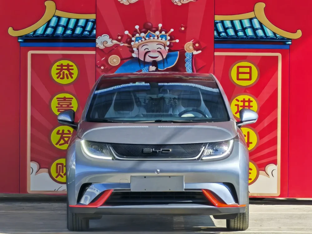 BYD Dolphin Fashion Edition