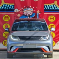 BYD Dolphin Fashion Edition