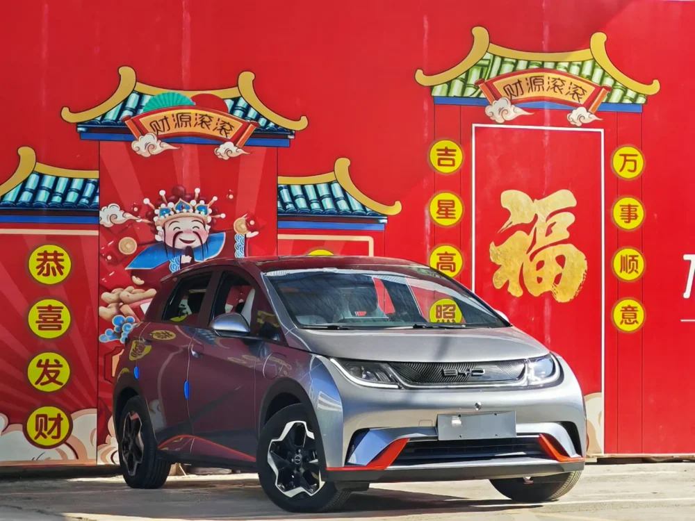 BYD Dolphin Fashion Edition