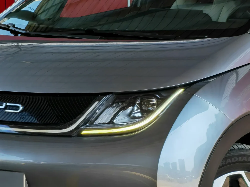 BYD Dolphin Fashion Edition