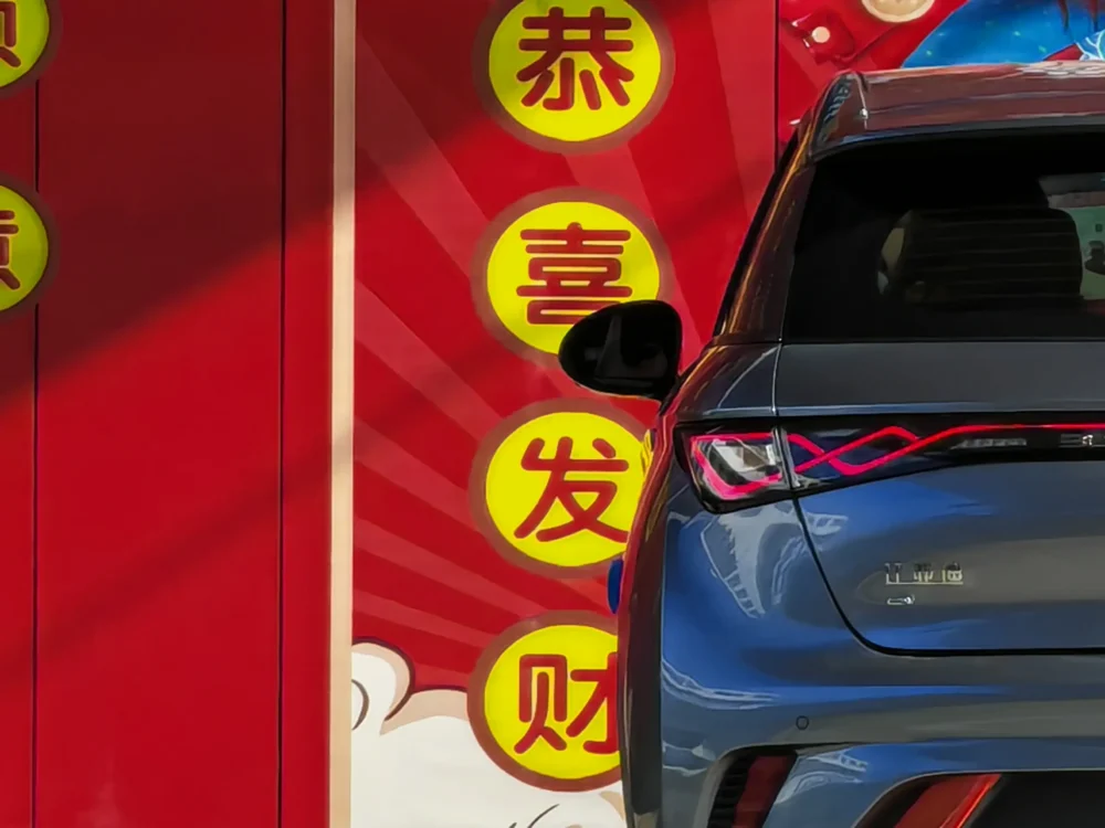 BYD Dolphin Fashion Edition