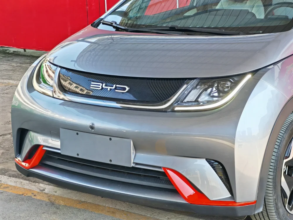 BYD Dolphin Fashion Edition