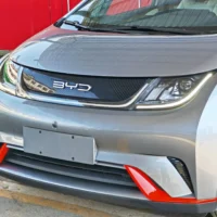 BYD Dolphin Fashion Edition