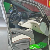 BYD Dolphin Fashion Edition