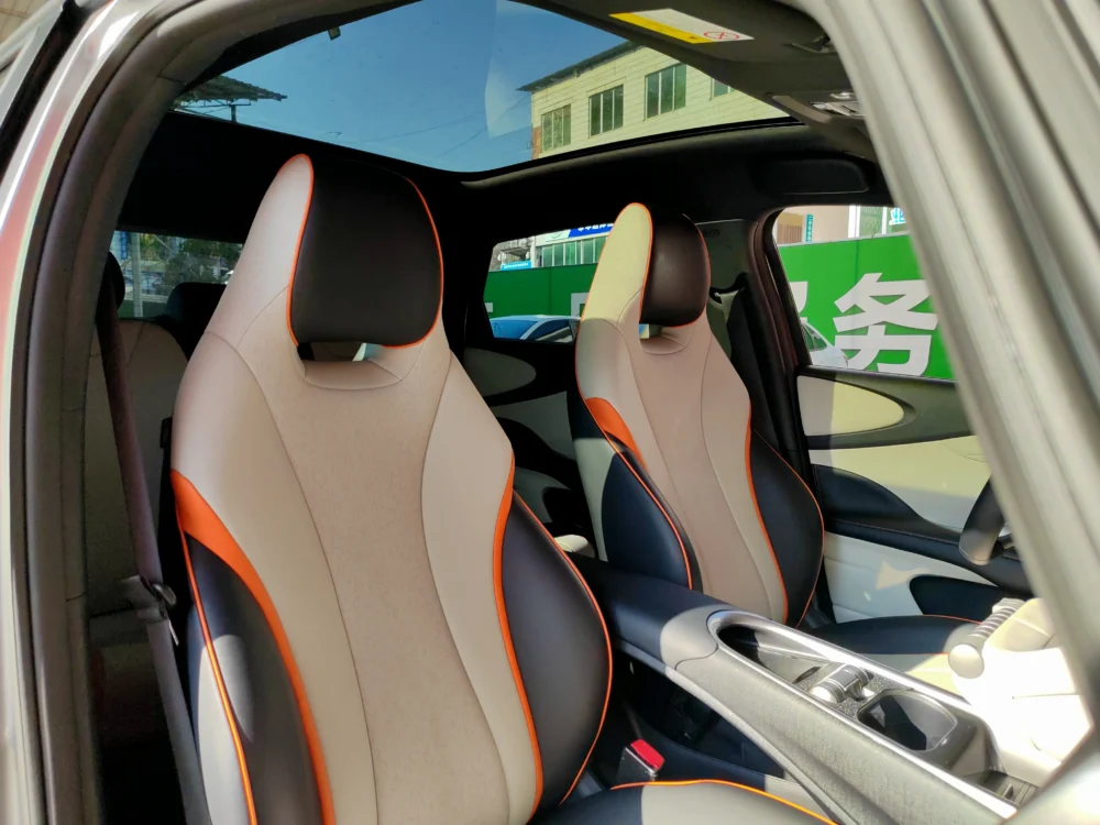 BYD Dolphin Fashion Edition