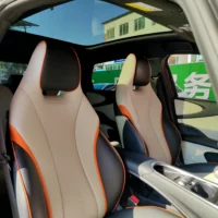 BYD Dolphin Fashion Edition