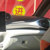 BYD Dolphin Fashion Edition