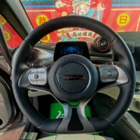 BYD Dolphin Fashion Edition