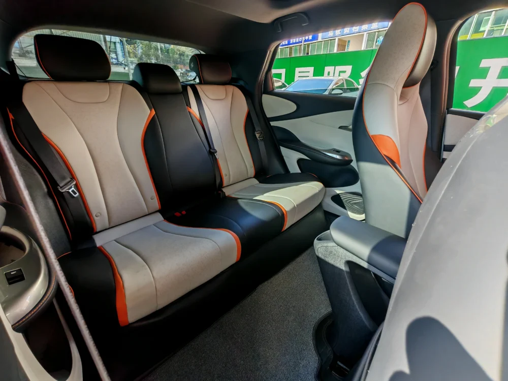 BYD Dolphin Fashion Edition