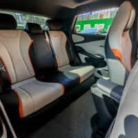 BYD Dolphin Fashion Edition
