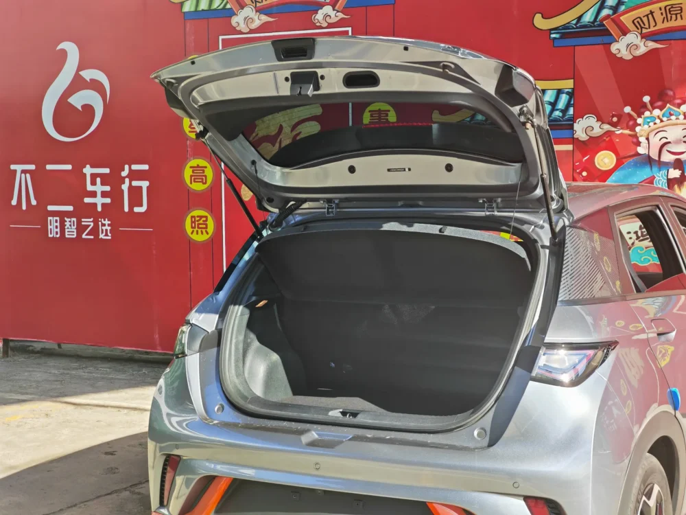BYD Dolphin Fashion Edition