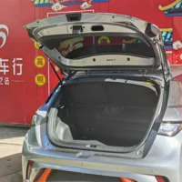 BYD Dolphin Fashion Edition
