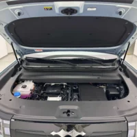 BYD Leopard Titanium 7 PHEV 190KM AWD Max Edition