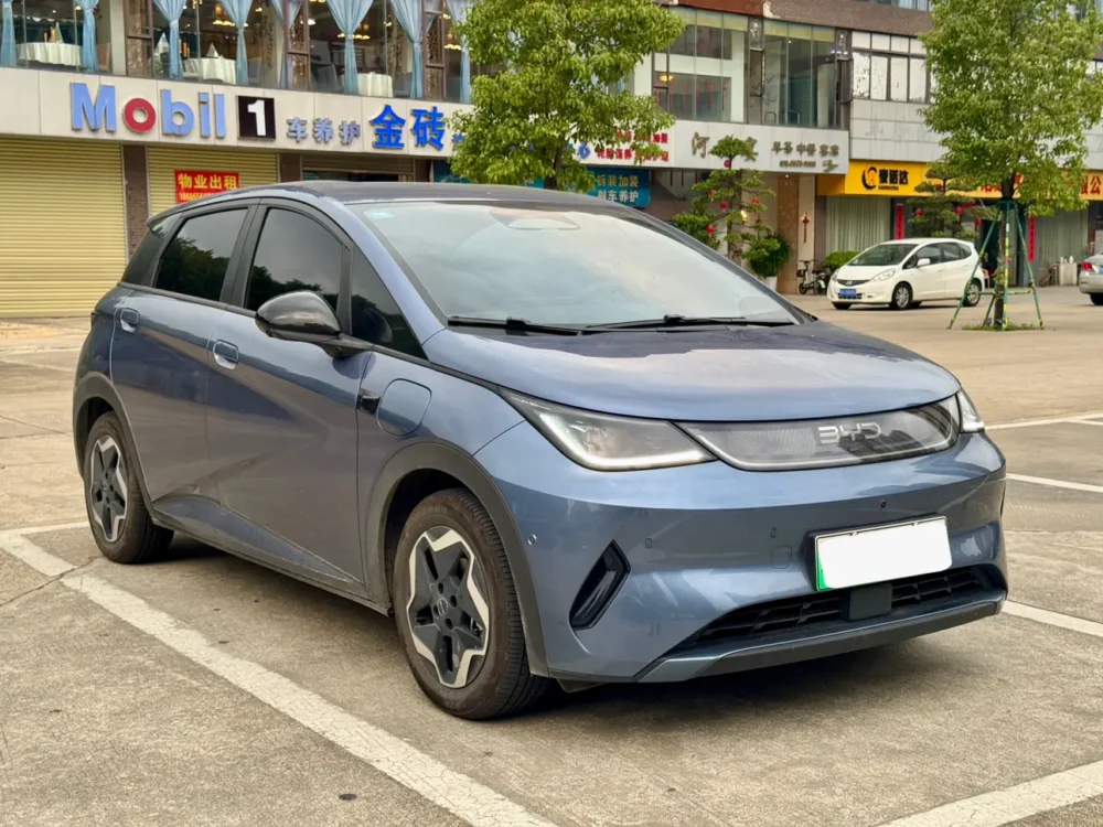 BYD Dolphin Fashion Edition