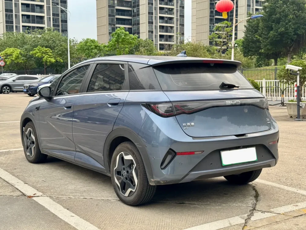 BYD Dolphin Fashion Edition