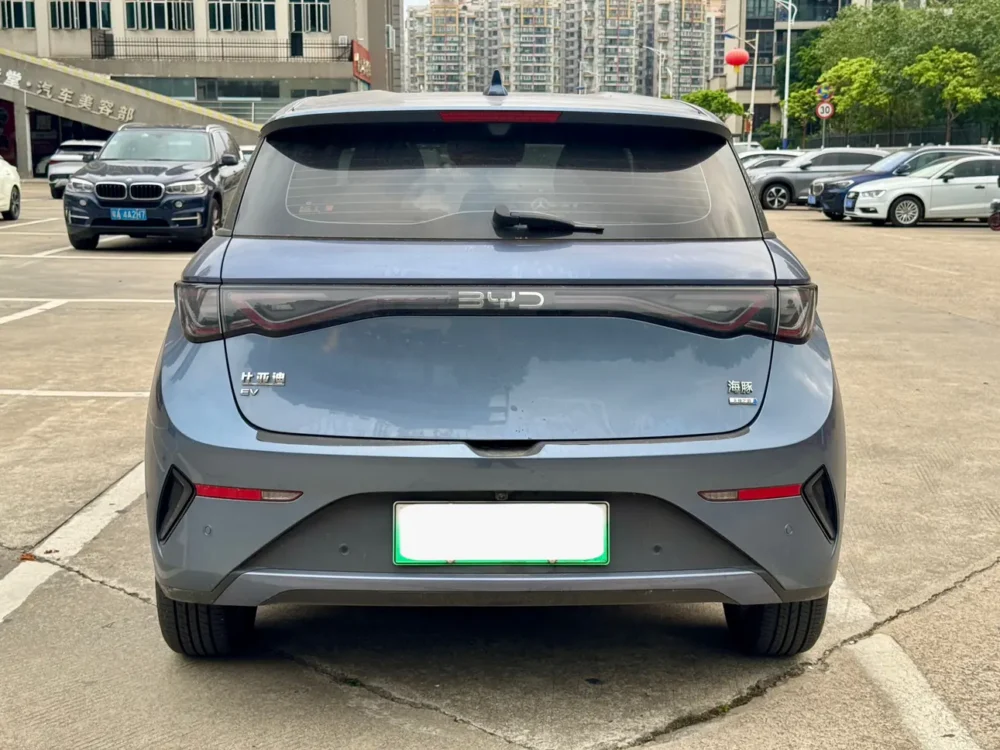 BYD Dolphin Fashion Edition