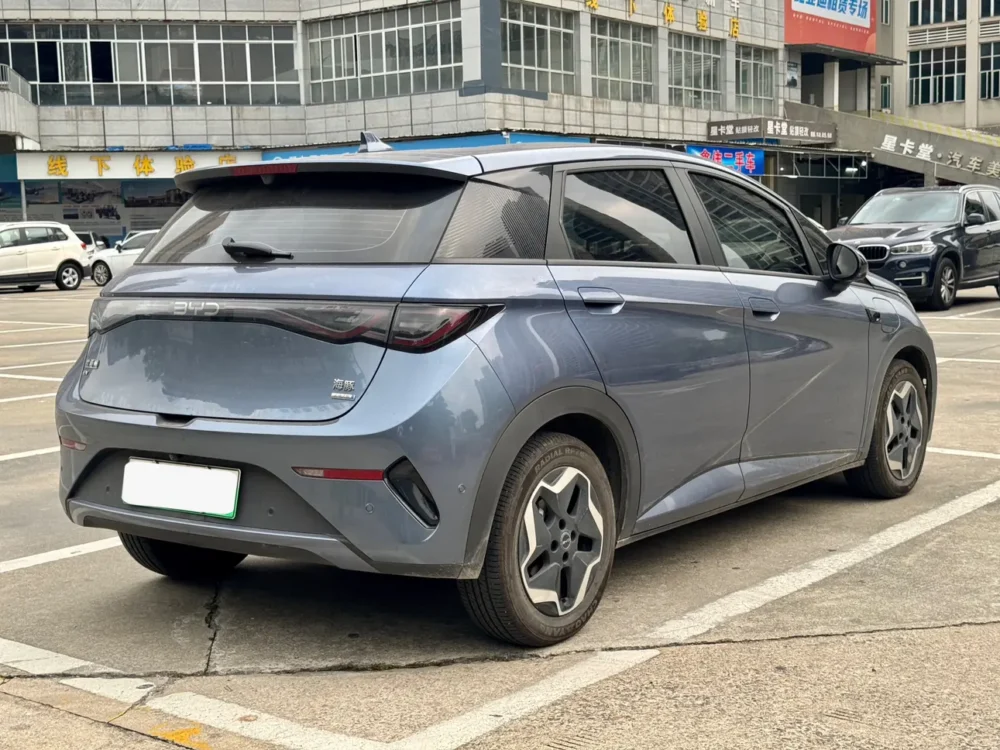 BYD Dolphin Fashion Edition
