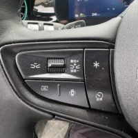 BYD Dolphin Fashion Edition