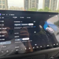 BYD Dolphin Fashion Edition