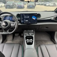 BYD Dolphin Fashion Edition