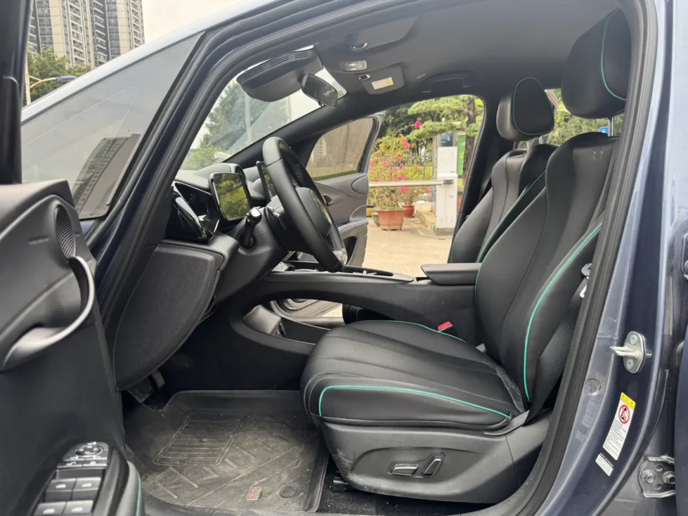 BYD Dolphin Fashion Edition