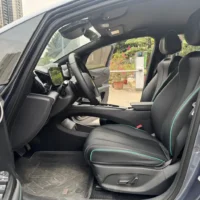BYD Dolphin Fashion Edition